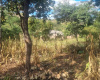 vacant land vacant land