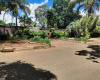 A view of the secure entrance area and landscaped boundary wall of the property. The scene features a high, red-brick perimeter wall lined with lush green bushes, ornamental shrubs, and tall palm trees under a partly cloudy sky. A brick-paved driveway slopes gently toward a gated entrance or opening in the wall. The foreground consists of an asphalt driveway or roadway with some shaded patches, bordered by a concrete curb and a partially cleared garden bed ready for planting. A view of the secure entrance area and landscaped boundary wall of the property. The scene features a high, red-brick perimeter wall lined with lush green bushes, ornamental shrubs, and tall palm trees under a partly cloudy sky. A brick-paved driveway slopes gently toward a gated entrance or opening in the wall. The foreground consists of an asphalt driveway or roadway with some shaded patches, bordered by a concrete curb and a partially cleared garden bed ready for planting.