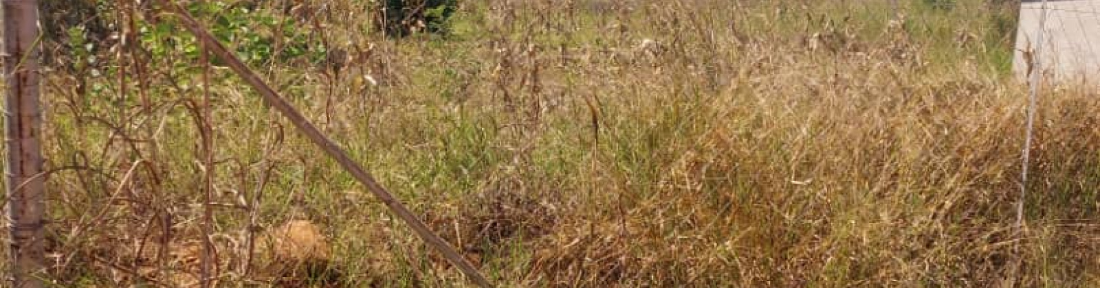 0 , 0 ,0,Land,For Sale,0,1067 0 , 0 ,0,Land,For Sale,0,1067