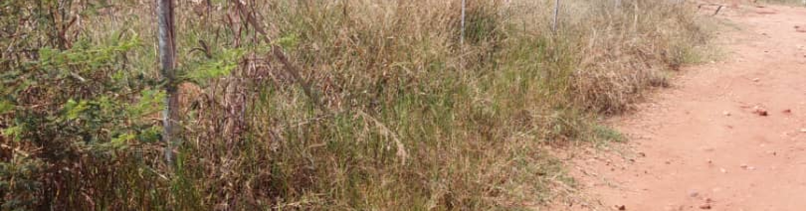 0 , 0 ,0,Land,For Sale,0,1068 0 , 0 ,0,Land,For Sale,0,1068